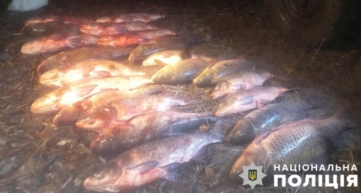 У Полтавській області браконьєри незаконно виловили риби на понад 370 тис. грн