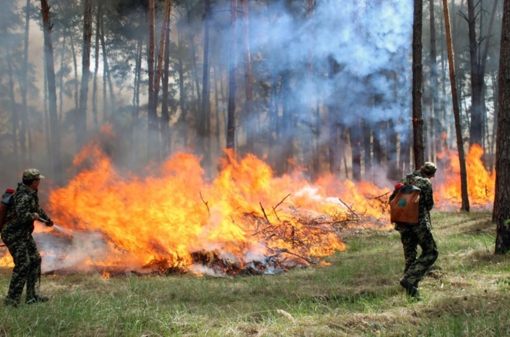 На Полтавщині переважатиме надзвичайний рівень пожежної небезпеки, — Полтавський гідрометцентр