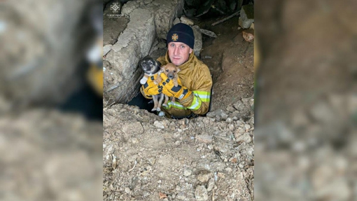 У Полтавській області рятувальники дістали двох цуценят з глибокої ями