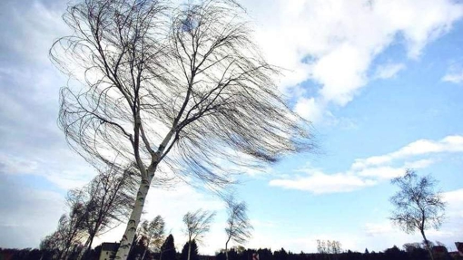 На Полтавщині прогнозують сильні пориви вітру