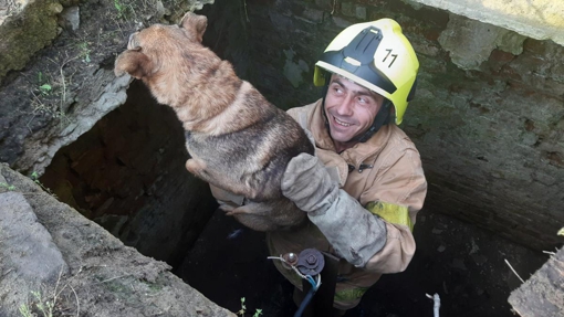 У Полтавській області врятували собаку, який упав у колодязь