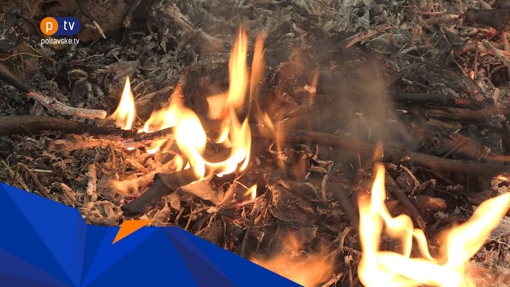 У Полтаві масово спалюють опале листя: чим це небезпечно