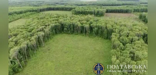 Збитки на понад 2,4 млн грн: на Полтавщині судитимуть майстра лісу за службову недбалість