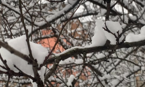 Протягом тижня на Полтавщині прогнозують морози