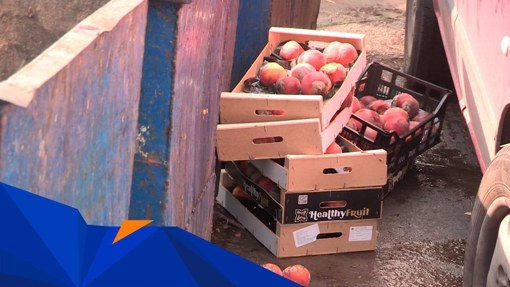 На Центральному ринку купи гнилих овочів та фруктів валяються біля сміттєвих баків та на території базару