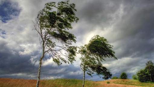 На Полтавщині оголосили жовтий рівень небезпечності через пориви вітру