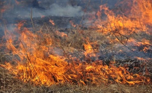 На Полтавщині встановили надзвичайний рівень пожежної небезпеки