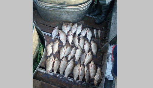 На Полтавщині рибалка незаконно наловив риби на майже 5000 грн