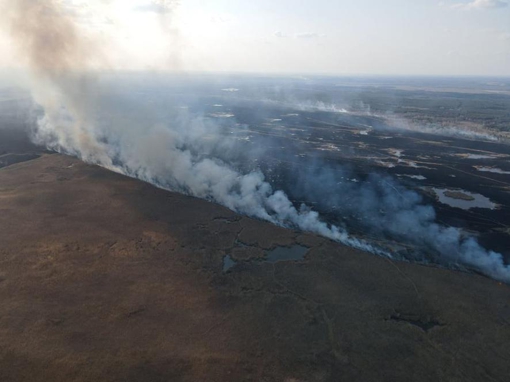 У Полтавській області минулої доби згоріли понад 110 га сухої рослинності. ВІДЕО