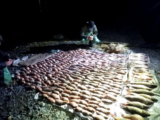 На Полтавщині рибалки незаконно виловили риби на понад 25 тис. грн