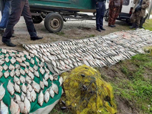 На Полтавщині рибалка незаконно виловив риби на майже 100 тис. грн