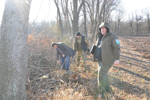 Понад  1 млн грн збитків: у Полтавському районі виявили незаконну вирубку дерев