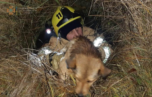 На Полтавщині рятувальники з двометрової ями дістали собаку