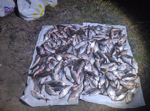 У Полтавській області чоловік незаконно виловив риби на понад 380 тис. грн