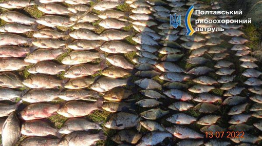 У Полтавській області рибалка незаконно наловив риби на майже 590 тис. грн