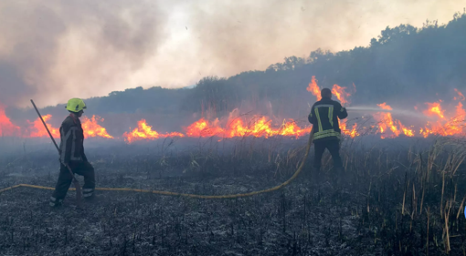 У Полтавській області триває масштабна пожежа на відкритій території