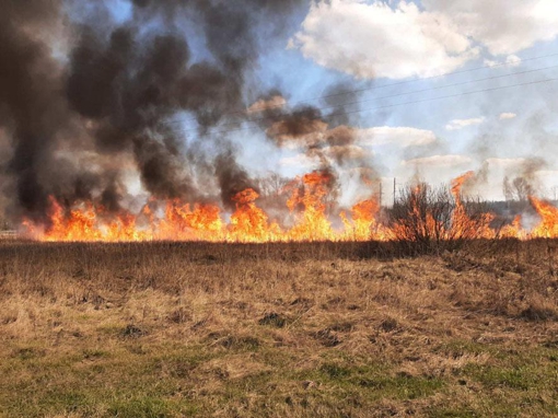 У Полтавській області вогонь знищив понад 100 га сухої рослинності