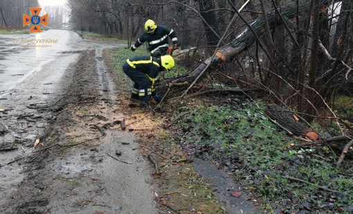 Снігопад на Полтавщині: рятувальники ліквідовували наслідки погіршення погодних умов