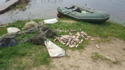 У Кременчуцькому районі викрили чоловіка, який незаконно виловив риби на майже 190 тис. грн