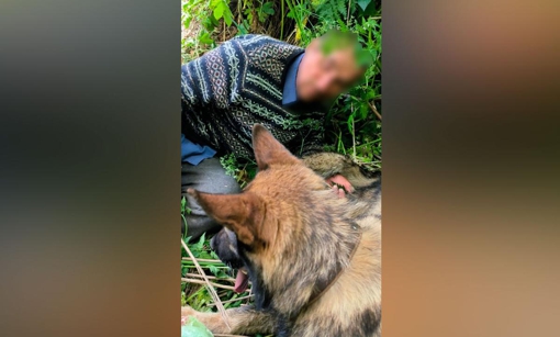 У Полтавській області службовий собака розшукав чоловіка