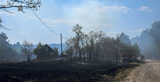 На Полтавщині сталася пожежа в лісі: горіло близько 5 га. ФОТО