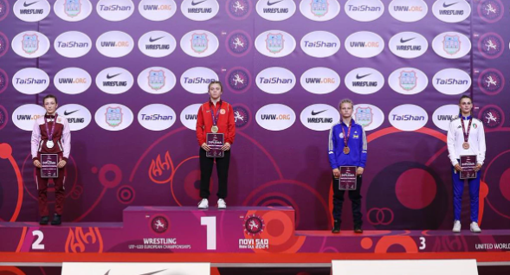 Спортсменка із Полтавщини стала призеркою чемпіонату Європи з вільної боротьби