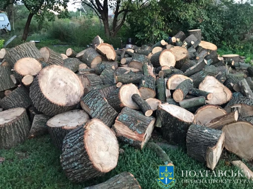 На Полтавщині судитимуть сімох осіб, які незаконно вирубали понад 400 дерев