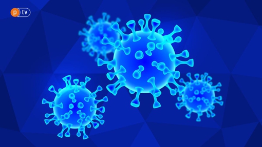 За тиждень на Полтавщині виявили 2680 нових випадків коронавірусу