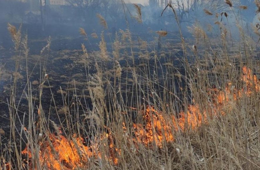 За добу на Полтавщині згоріли близько 27 га сухо рослинності