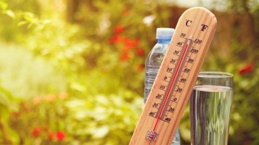 11-15 липня в Полтавській області буде спека  до +41°C