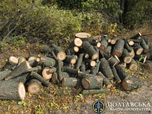 Понад 1 млн грн збитків: на Полтавщині судитимуть фізичну особу-підприємця за незаконну порубку дерев