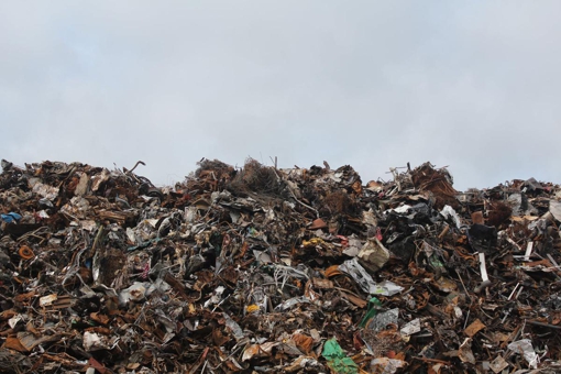 У Полтаві оголосили тендер на послуги вивезення сміття за 13,5 млн грн