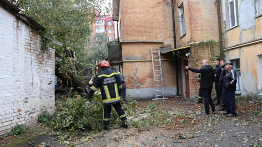 На Полтавщині через негоду на багатоквартирний будинок впало дерево