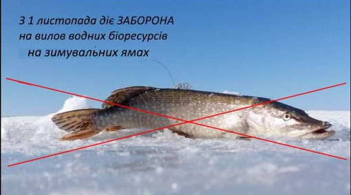У Полтавській області заборонили рибалити на зимувальних ямах