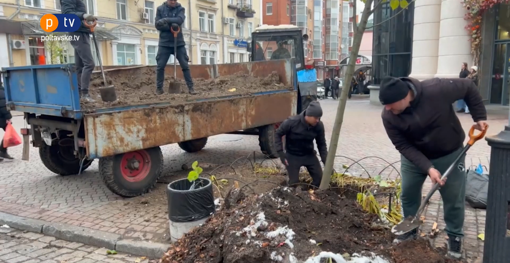 У Полтаві висадили перші дерева в рамках акції "Подаруй місту дерево"