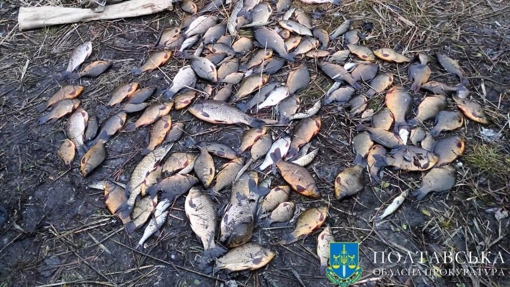 У Полтавській області серед улову браконьєра виявили червонокнижну рибу: ФОТО