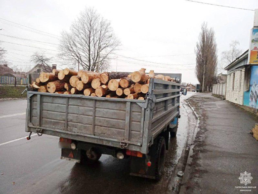 На Полтавщині виявили, ймовірно, незаконно вирублену деревину