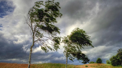 У Полтавській області очікують сильні пориви вітру