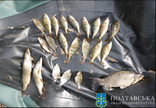 За риболовлю в період нересту судитимуть жителя Полтавщини