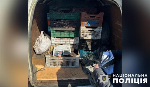 На Полтавщині в автомобілі знайшли понад 330 кг незаконно виловленої риби