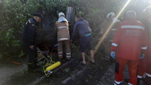 У Полтаві на 23-річну дівчину впало дерево, її госпіталізували
