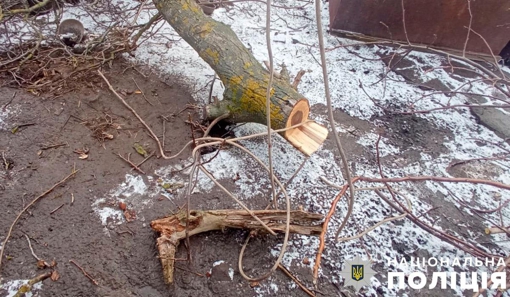 У Полтавській області 36-річний чоловік впав з дерева й помер
