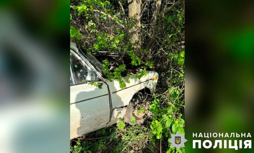 У Полтавській області легковик врізався в дерево: двоє осіб госпіталізували