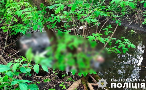 У Полтавській області у ставку знайшли тіло 50-річного чоловіка