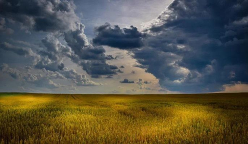 В Україні уклали понад 21 тис. земельних угод: найбільше на Полтавщині