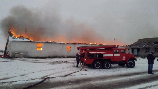 На Полтавщині в пожежі згоріли дві тисячі курчат