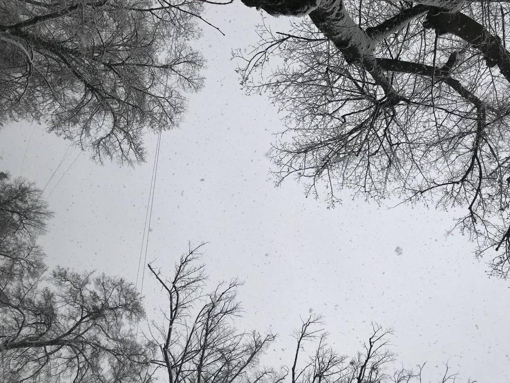 У Полтавській області прогнозують сніг, хуртовини та мороз