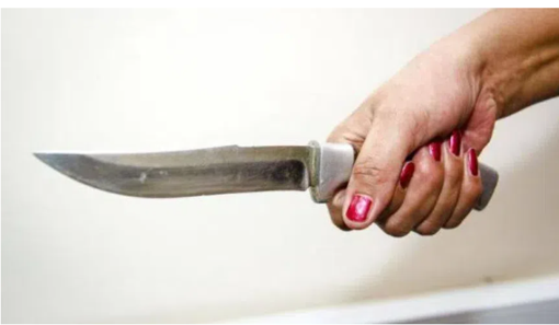 На Полтавщині засудили жінку, яка вдарила чоловіка ножем у груди