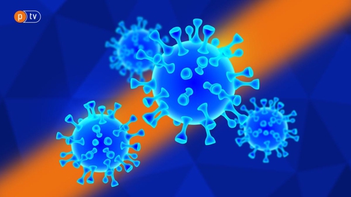 Полтавщина на першому місці в Україні за поширенням коронавірусної інфекції