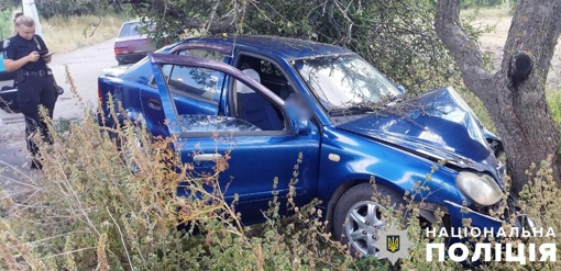 У Полтавській області водію легковика стало зле, він врізався в дерево й помер
